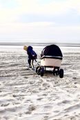 Beachwagon LITE® Faltbarer bollerwagen - Sandbraun - strand mit kind