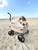 Beachwagon LITE® Faltbarer bollerwagen - Sandbraun strand mit hund