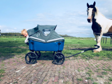 Beachwagon Verdeck für Lite+Sturdy